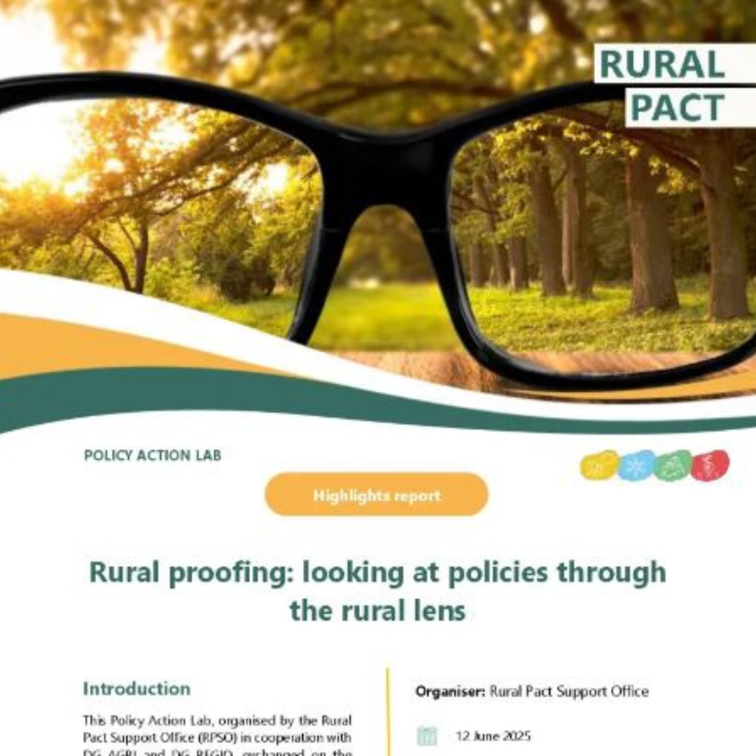 Informe del Laboratorio de Políticas: "Pruebas rurales: mirando las políticas a través de la lente rural"Informe del Laboratorio de Políticas: "Pruebas rurales: mirando las políticas a través de la lente rural"