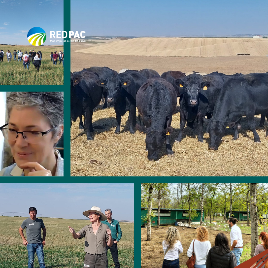 La Red PAC promueve la agroganadería regenerativa como modelo de futuro para el campo español mediante un taller formativo