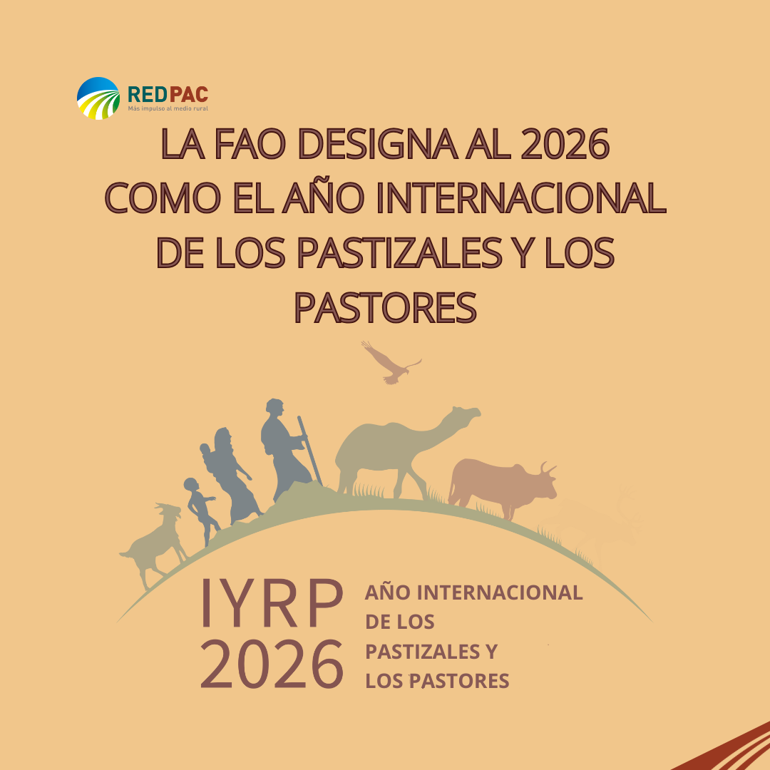 La FAO declara a 2026 el “Año Internacional de los Pastizales y los Pastores”