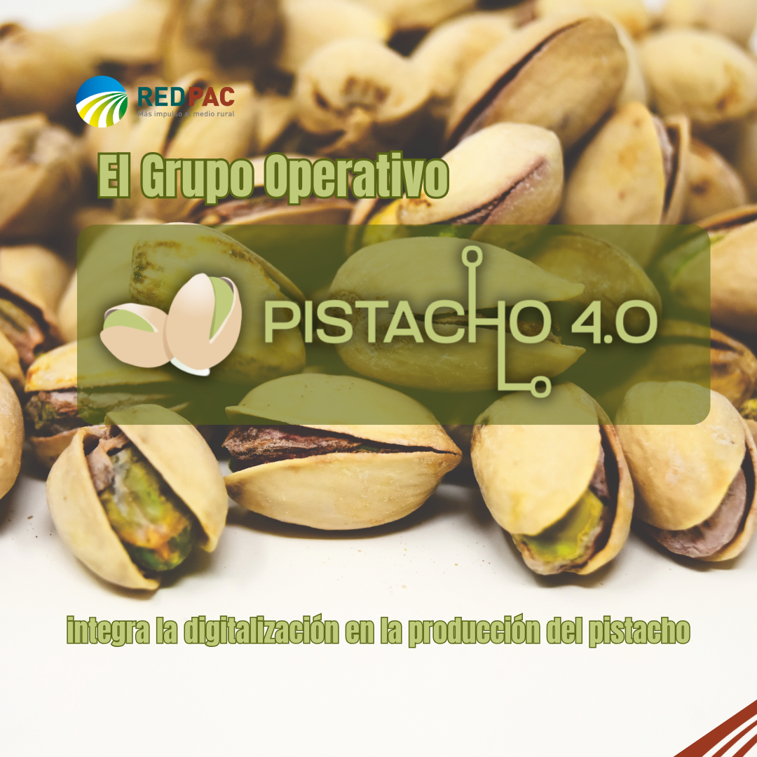 El Grupo Operativo PISTACHO 4.0 integra la digitalización en la producción del pistacho