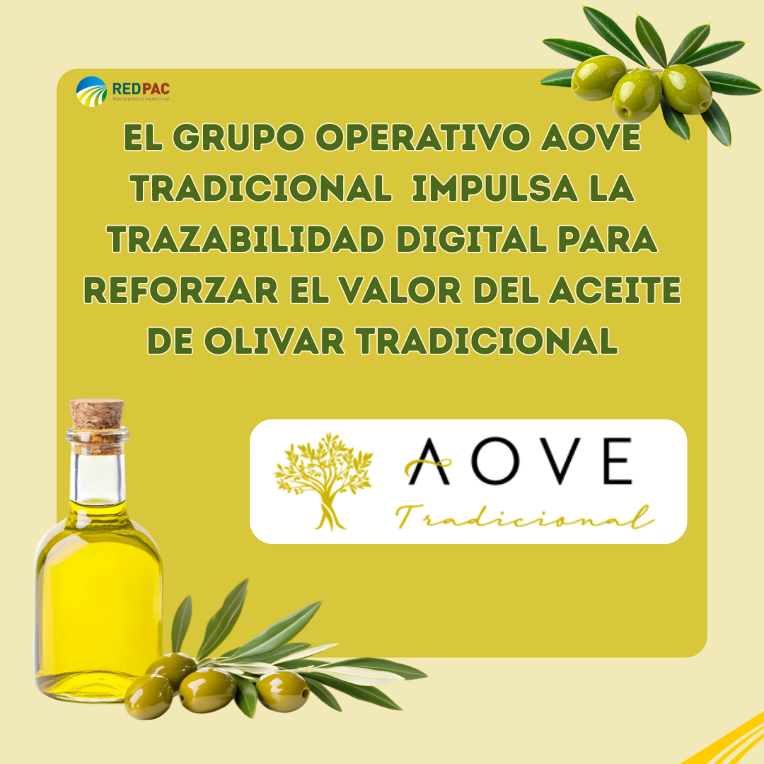 El Grupo Operativo AOVE Tradicional impulsa la trazabilidad digital para reforzar el valor del aceite de oliva tradicional