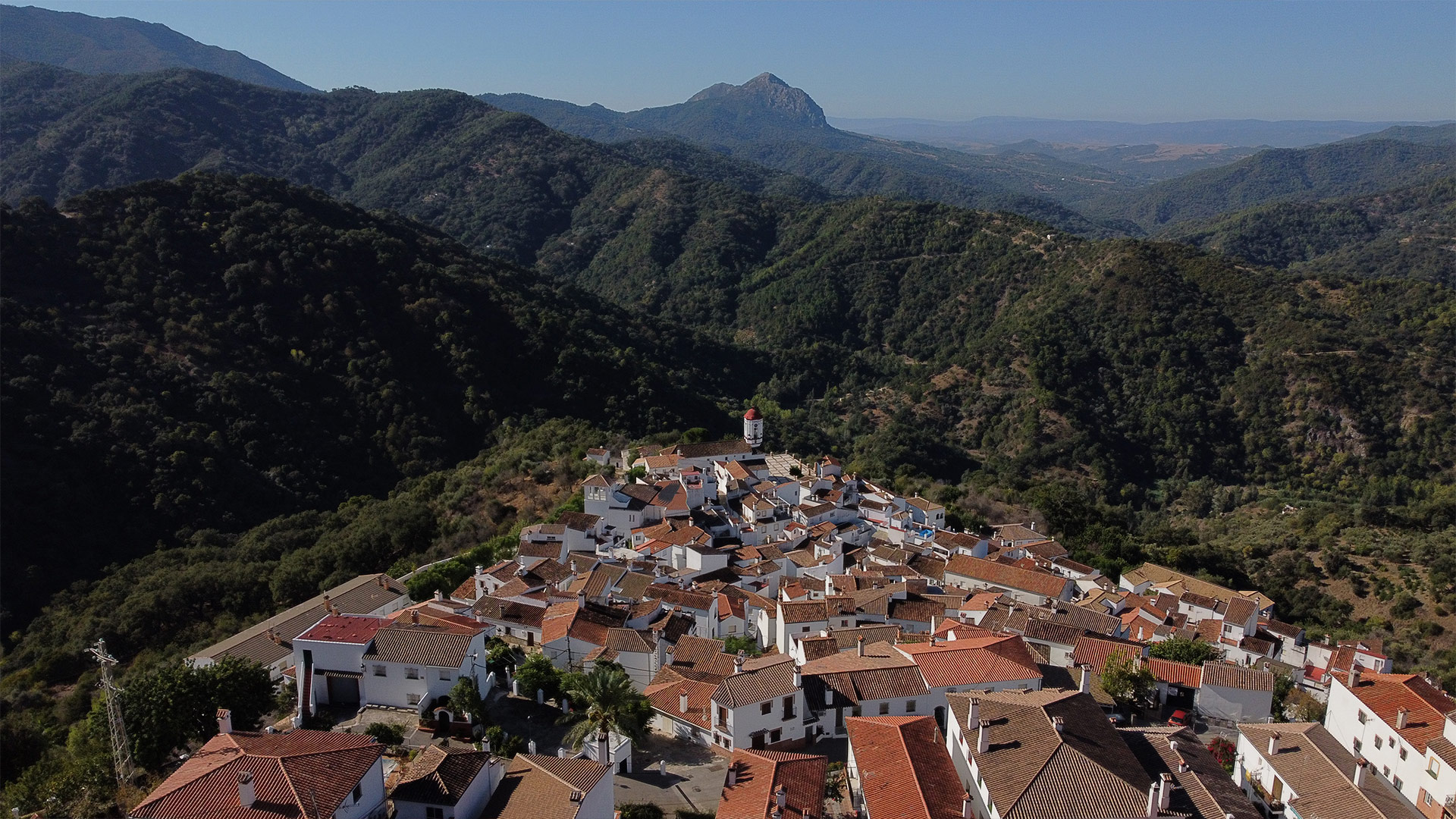 Panorámica