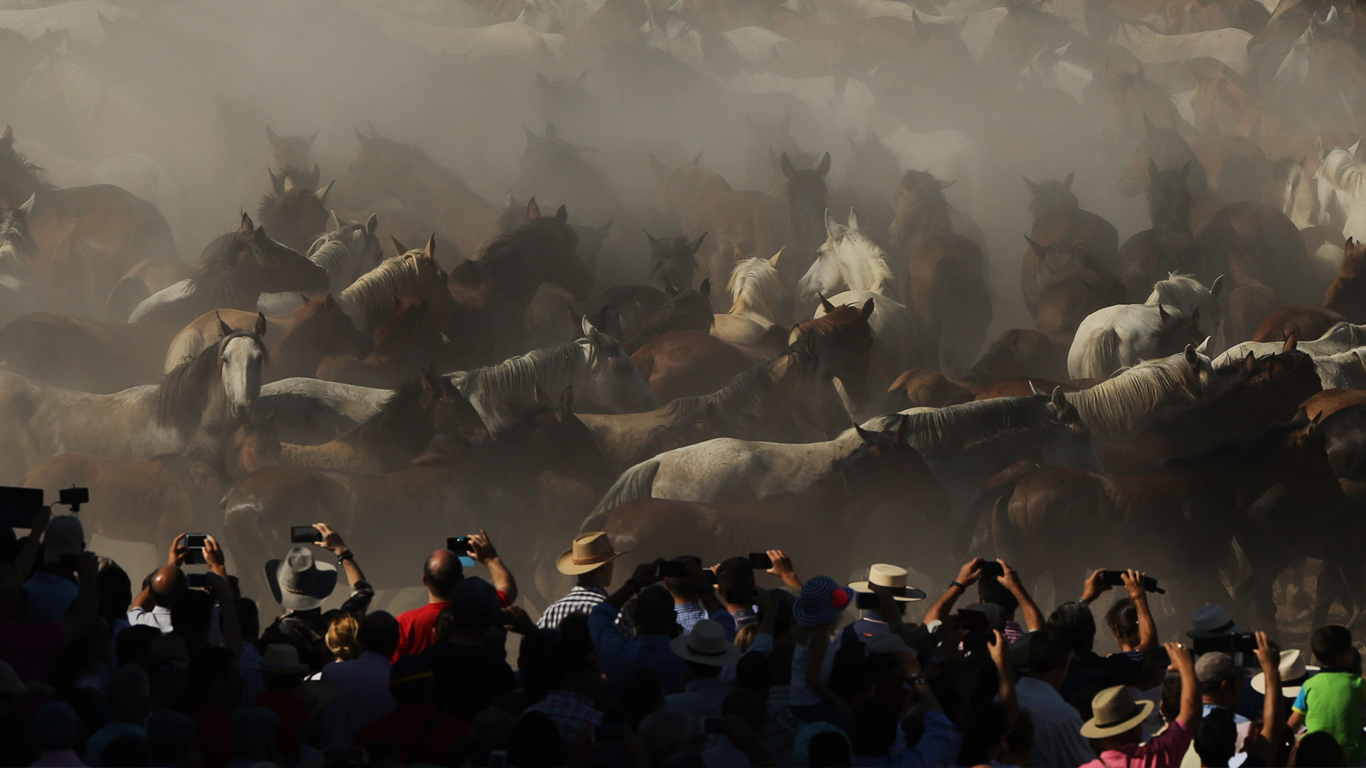Premio de AMUPARNA, para categoría Cultural