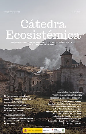 portada Diagnóstico de la mano de obra agraria con perspectiva de género