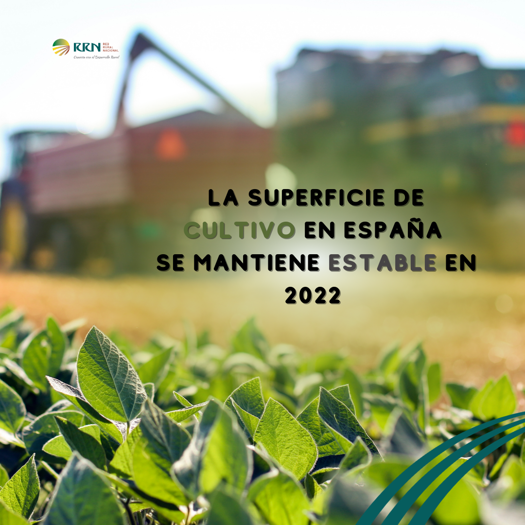La superficie de cultivo en España se mantiene estable en 2022