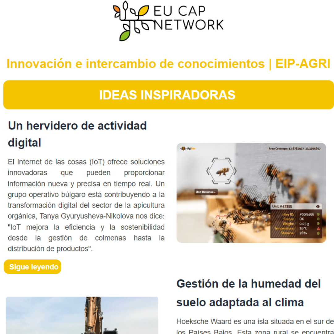 Boletín de Innovación - Red Europea de la PAC