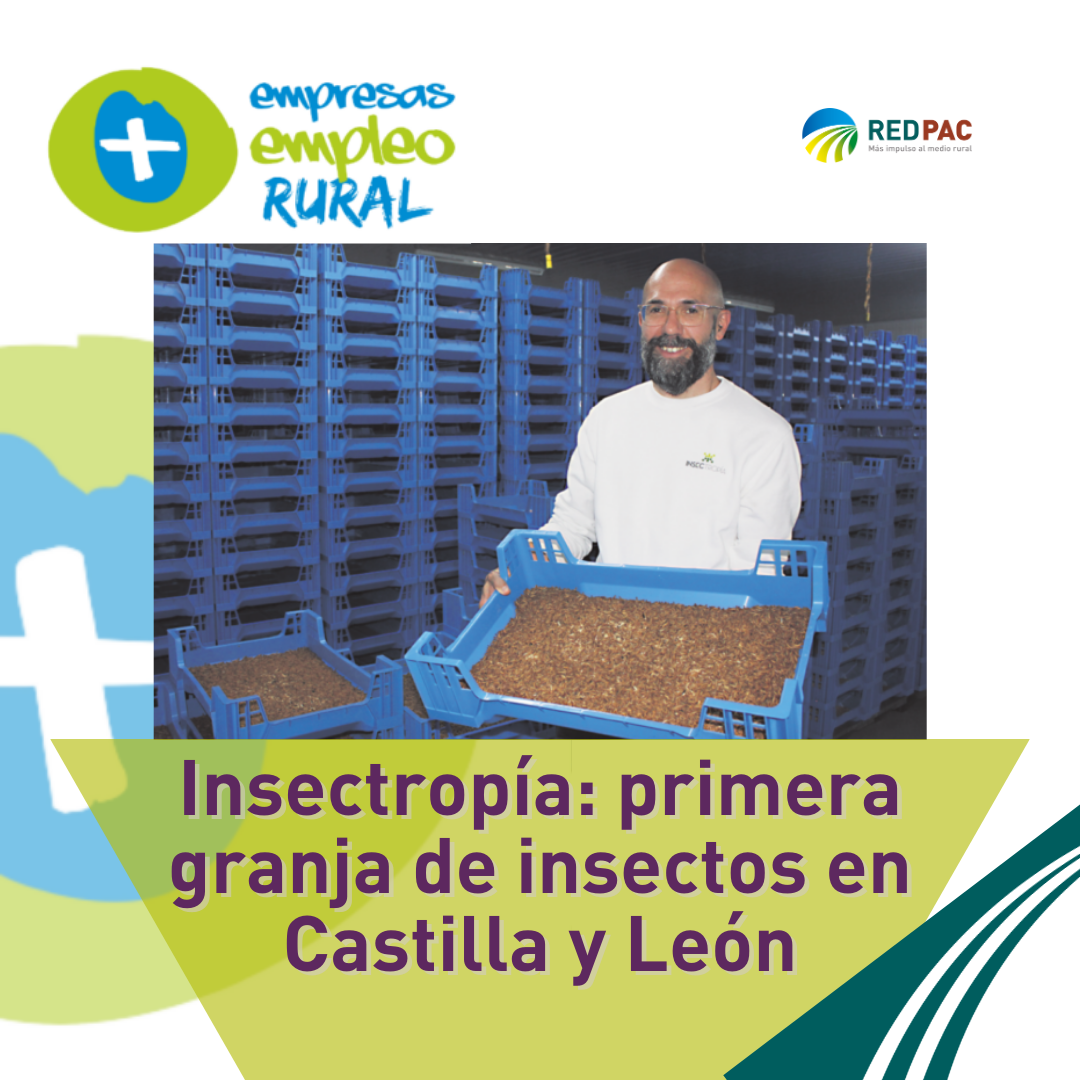 LEADER apoya la creación de una granja de insectos para alimentar animales en Tierra de Campos