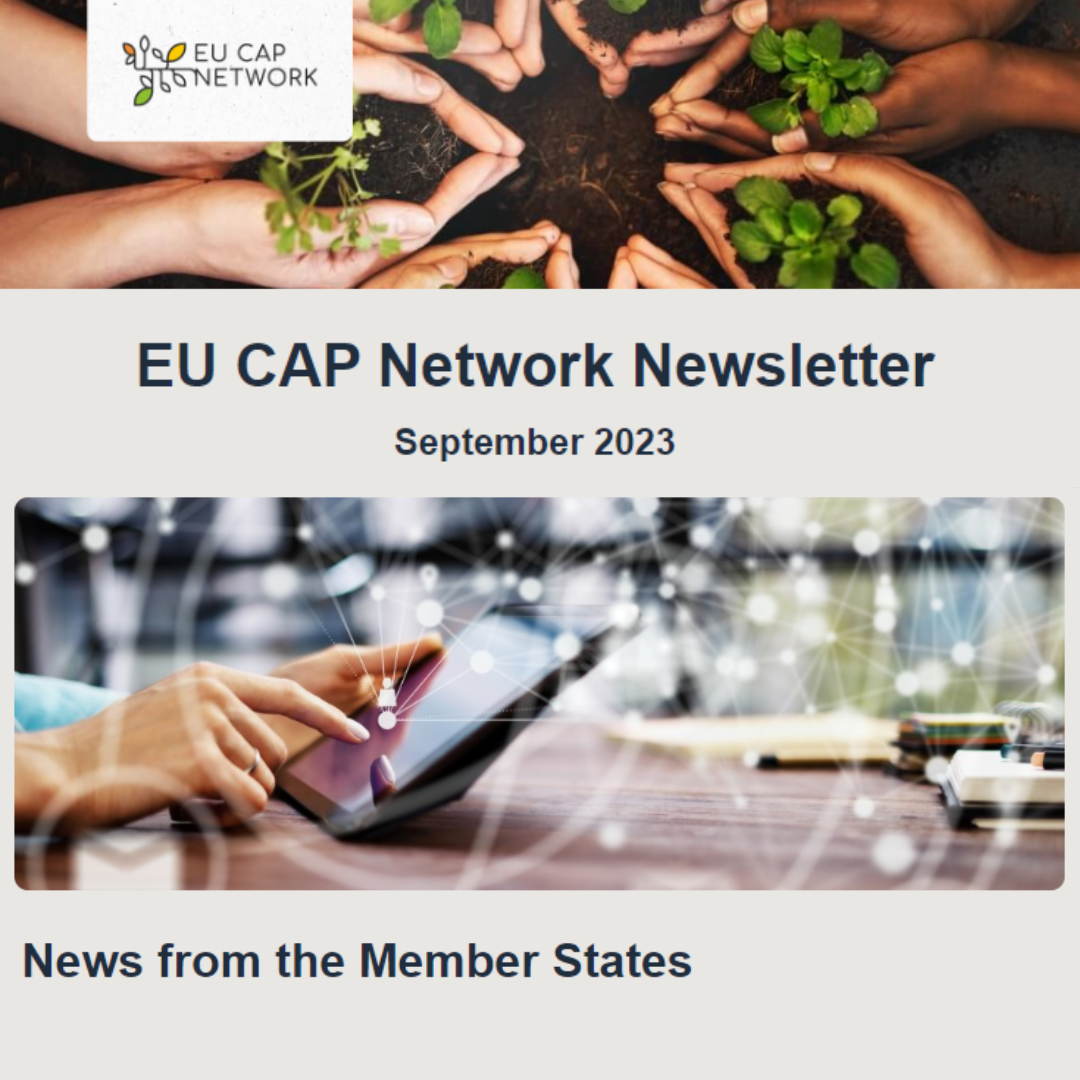 Boletín de la Red Europea de la PAC (EU CAP Network) - Septiembre