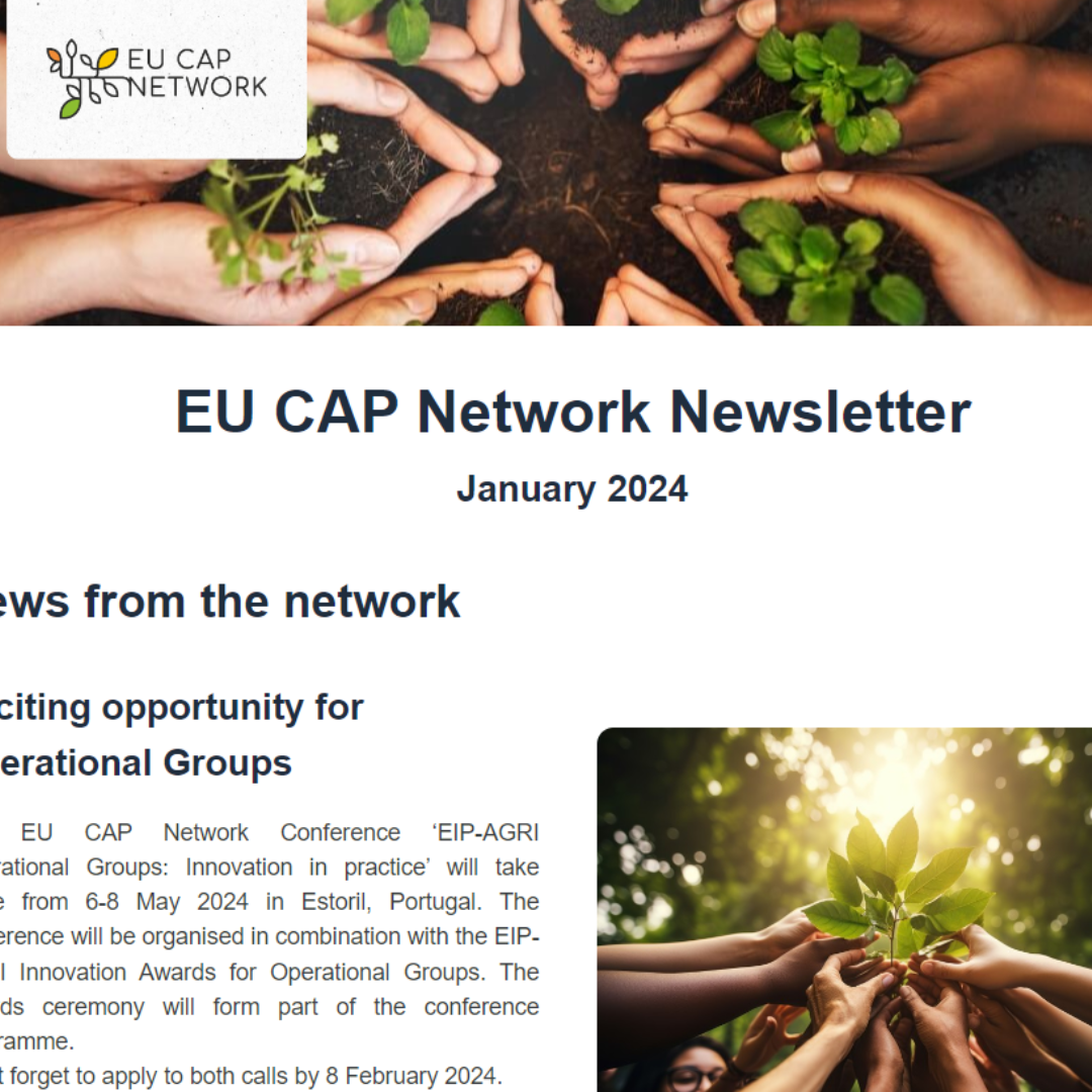 Boletín de enero de la Red Europea de la PAC (EU CAP Network)