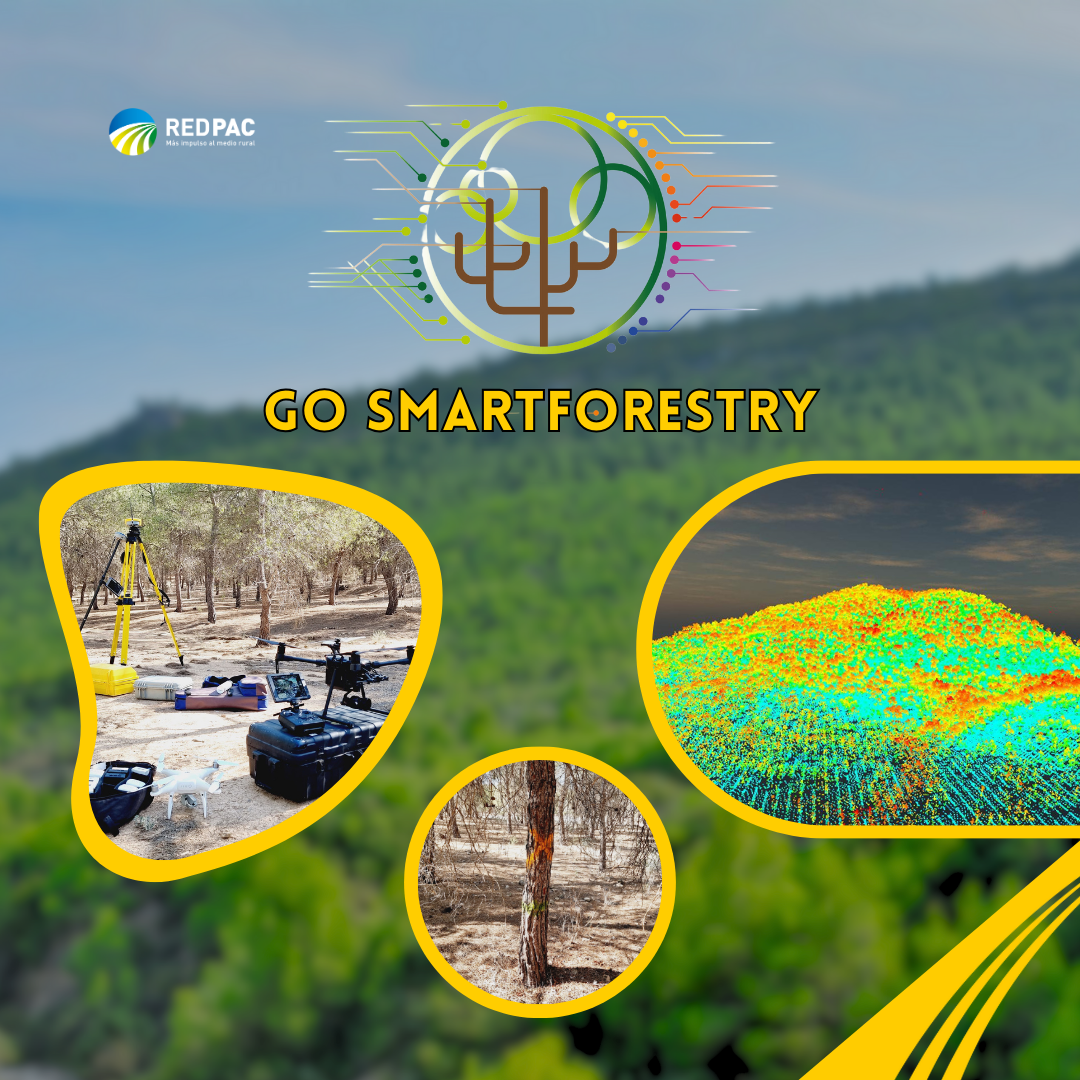 GO SMARTFORESTRY