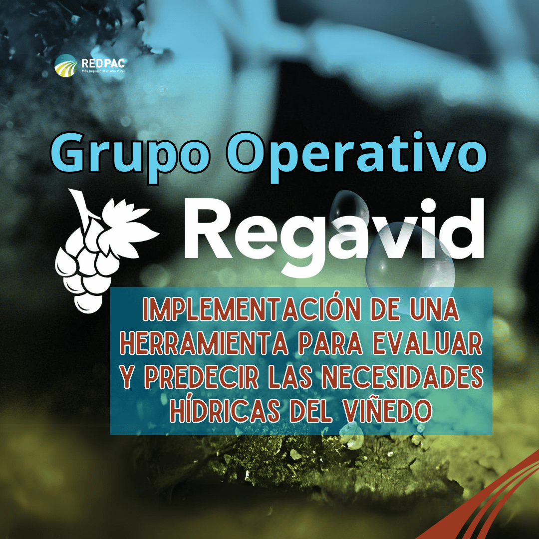 GO Regavid