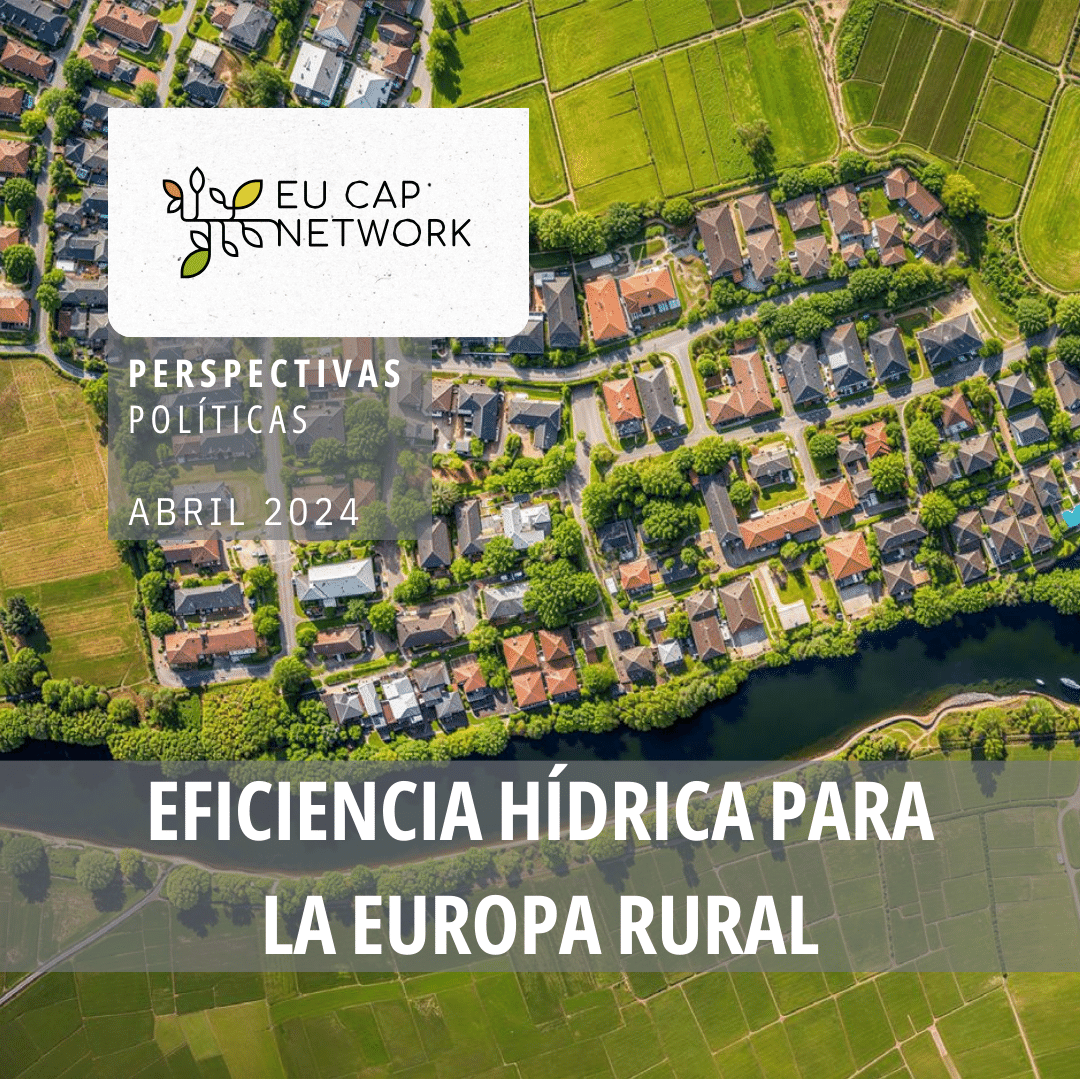 Perspectivas políticas: eficiencia hídrica para la Europa rural