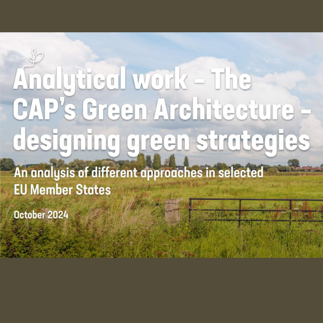 La arquitectura verde de la PAC: diseño de estrategias verdes