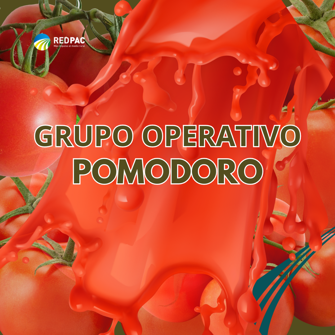 El Grupo Operativo POMODORO nace para transformar la agroindustria del tomate