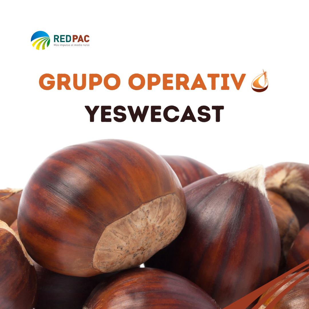 El Grupo Operativo YESWECAST impulsa la conservación de los recursos genéticos del castaño para mejorar su resiliencia frente al cambio climático