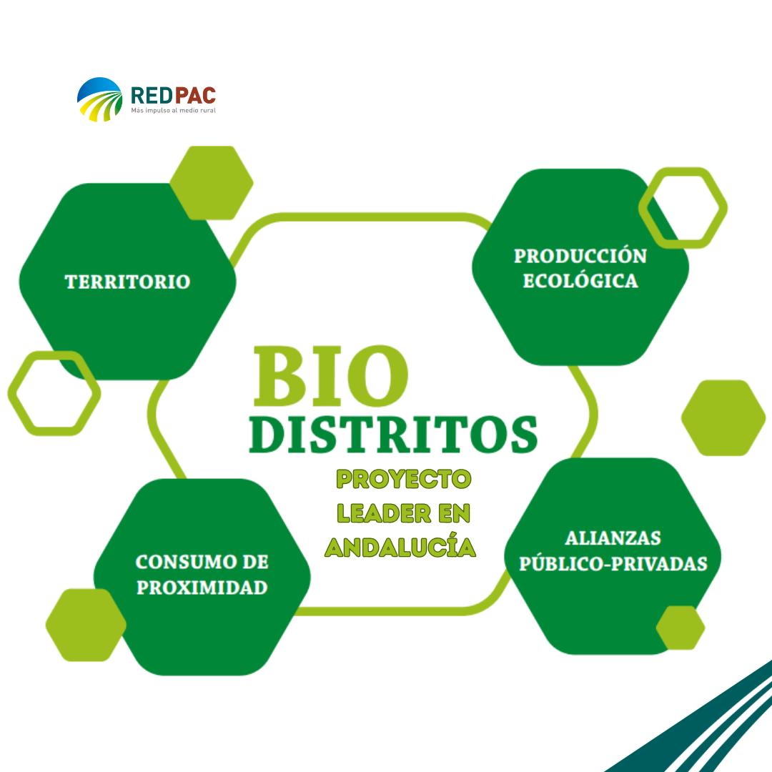 El Proyecto de cooperación andaluz “Biodistritos: Leader Agroecológico” propone un plan de acción para crear un sector agroalimentario más sostenible