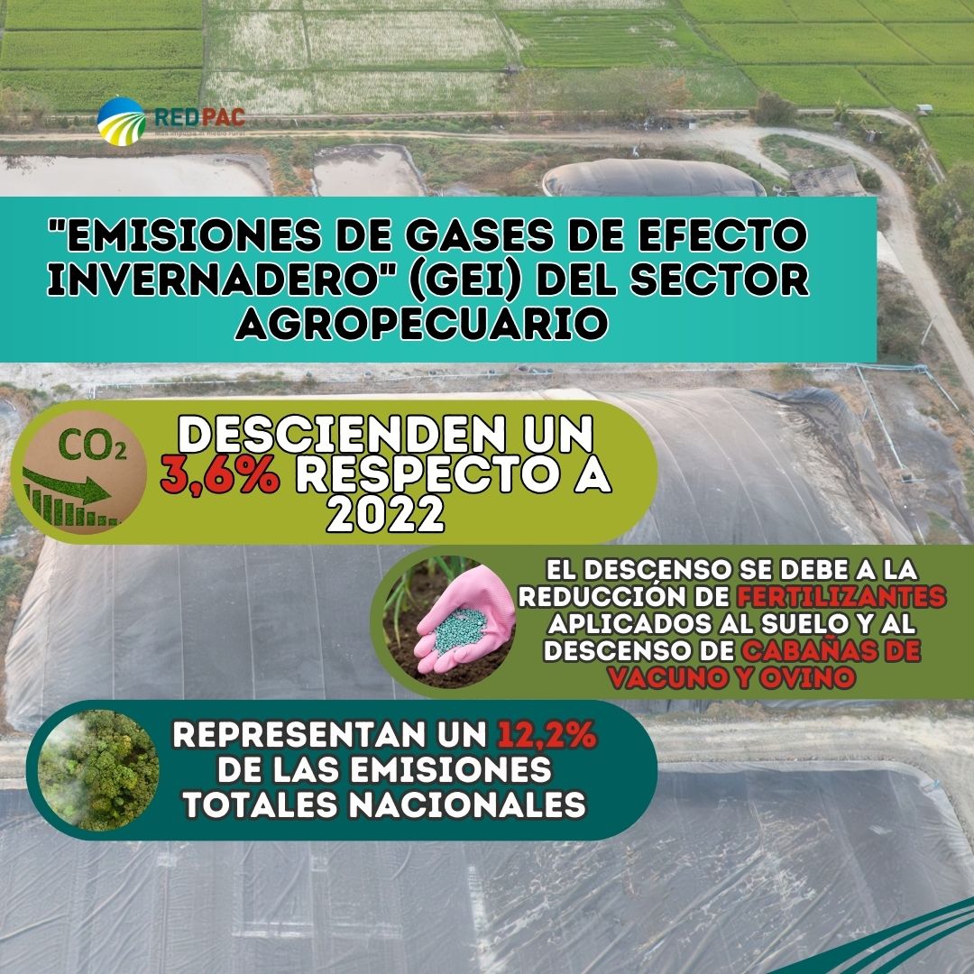 Las emisiones de gases de efecto invernadero del sector agropecuario descienden un 3,6% respecto a 2022