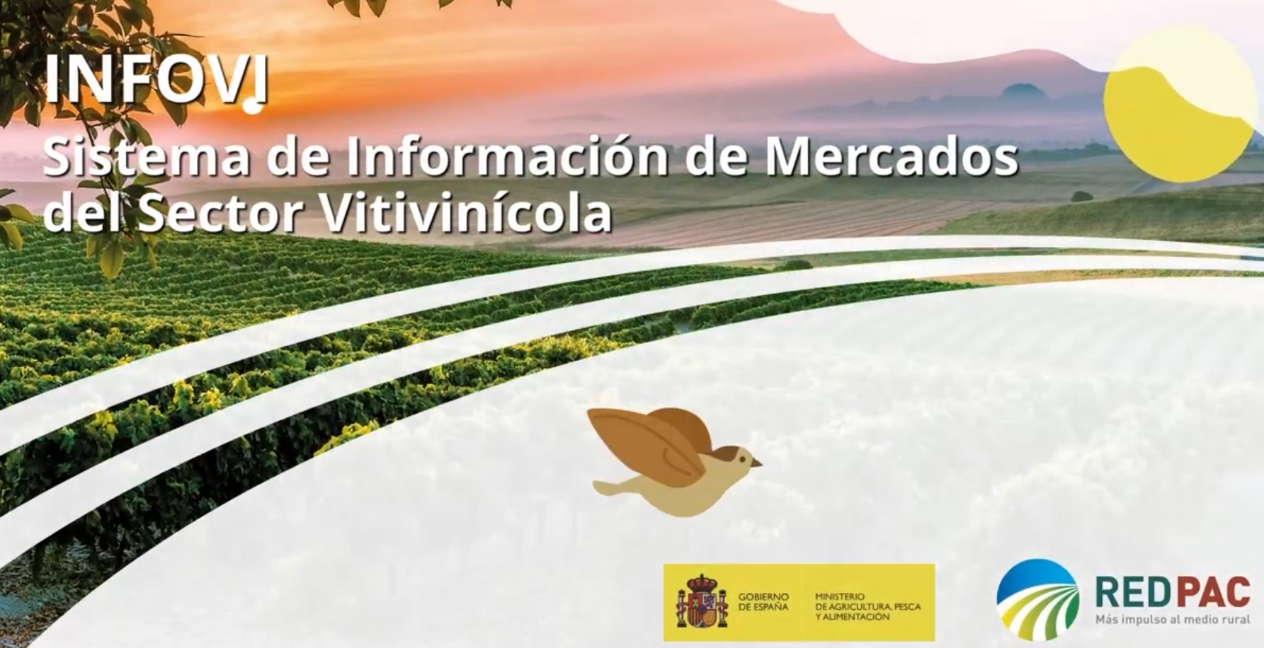 INFOVI: Sistema de Información de Mercados del Sector Vitivinícola