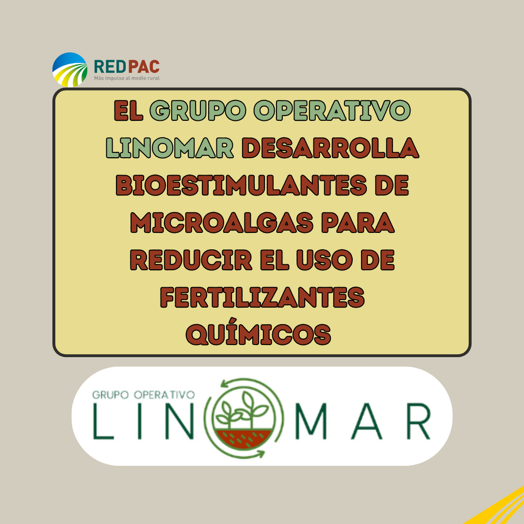 El Grupo Operativo LINOMAR desarrolla bioestimulantes de microalgas para reducir hasta un 50 % el uso de fertilizantes químicos