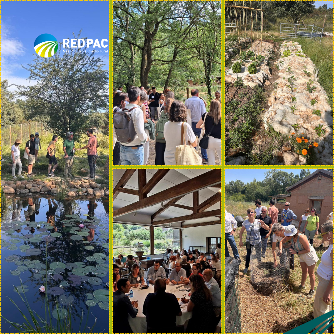 La Red PAC reúne en La Rioja proyectos innovadores y experiencias de campo en la gestión del suelo y del agua para impulsar una agricultura más resiliente