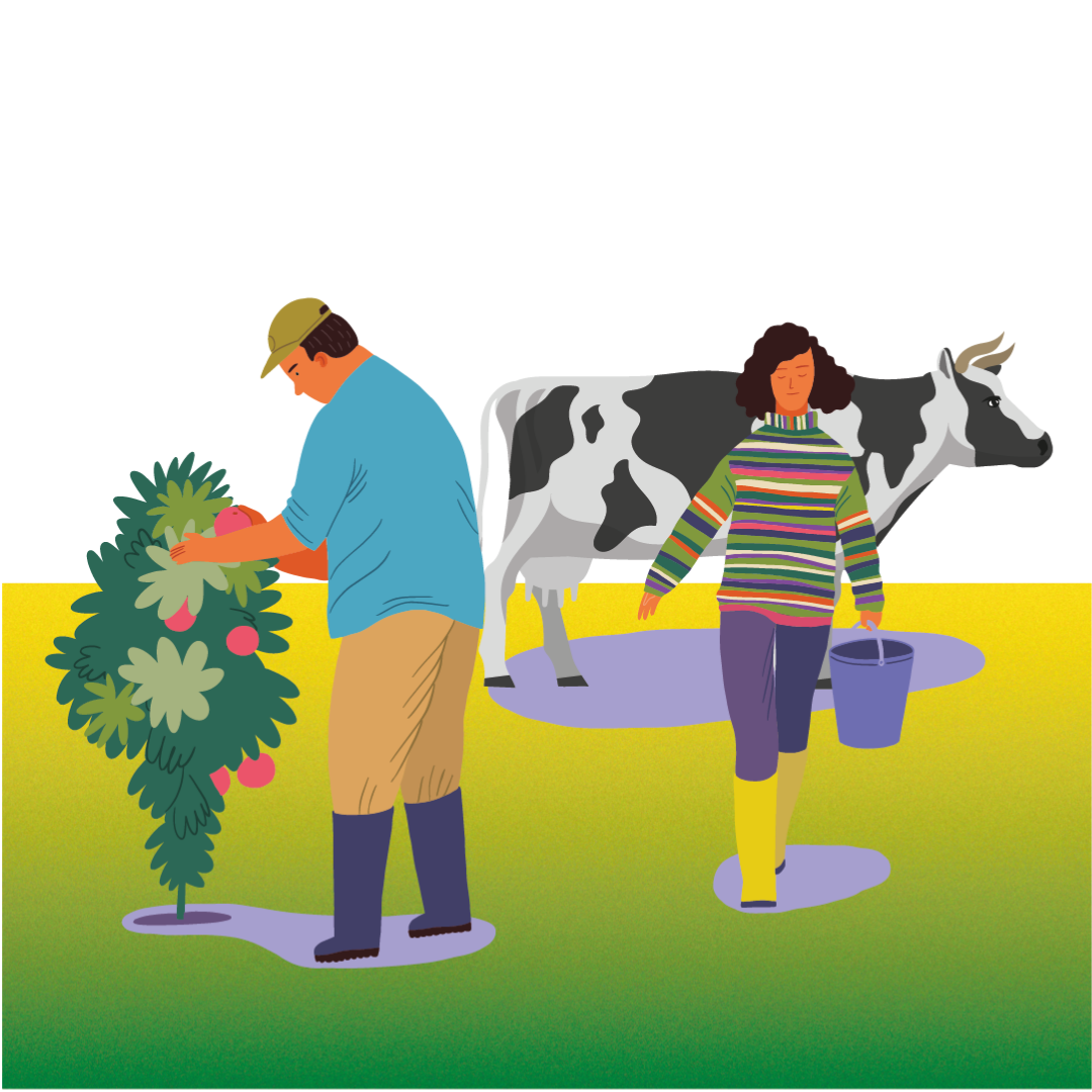 El Ministerio de Agricultura, Pesca y Alimentación abre el plazo de solicitudes para participar en el programa Cultiva 2026