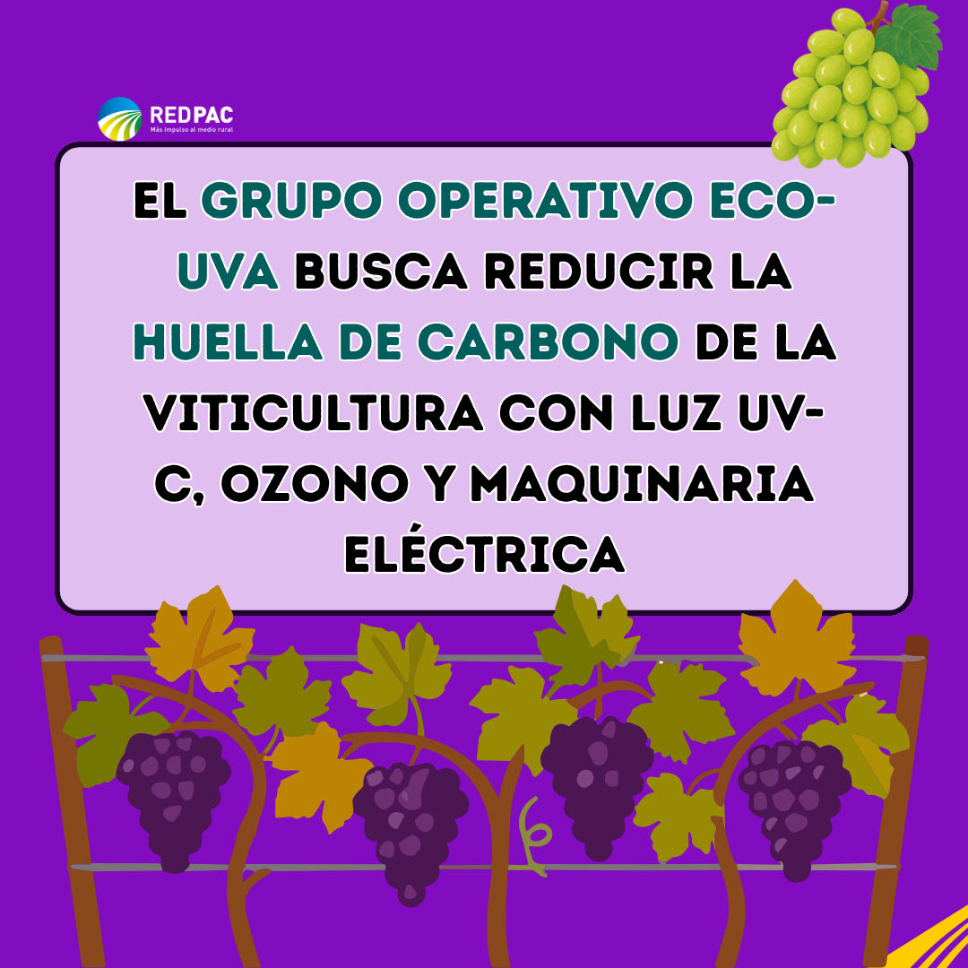 El Grupo Operativo ECO-UVA busca reducir la huella de carbono de la viticultura con luz UV-C, ozono y maquinaria eléctrica