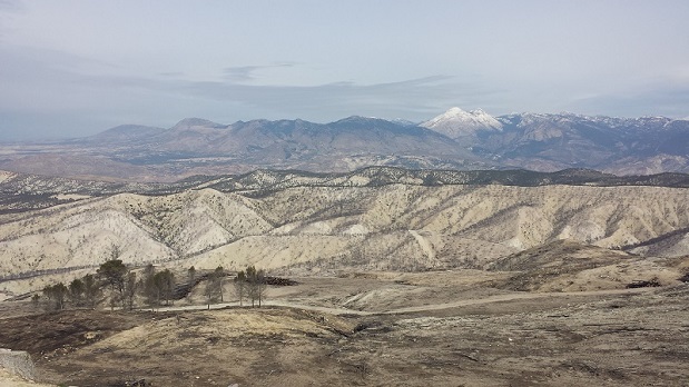 Restauración de los daños causados por grandes incendios forestales