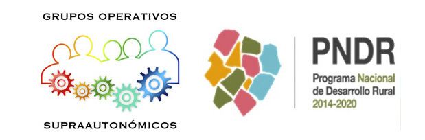 Ayudas a la creación de grupos operativos supra-autonómicos y ejecución de proyectos innovadores (Asociación Europea para la Innovación-AGRI) en el marco del PNDR: Bases Y Convocatorias 2018