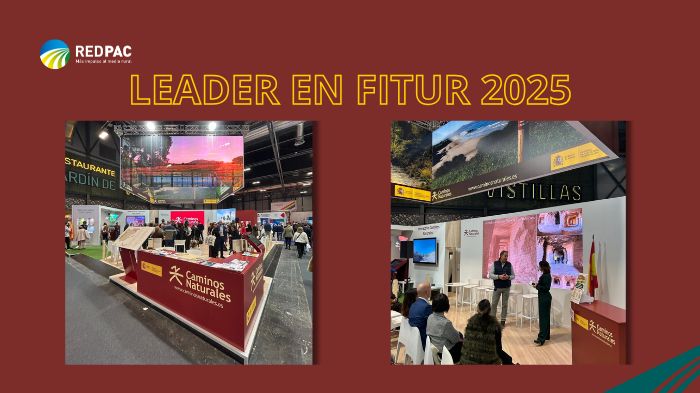 FITUR 2025