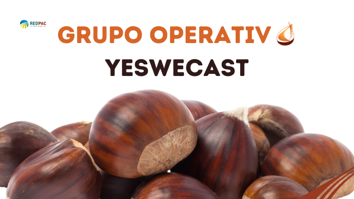 grupo operativo yeswecast