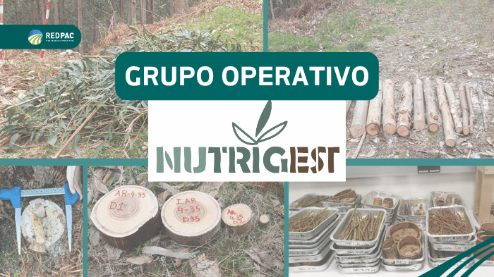 Grupo Operativo Nutrigest