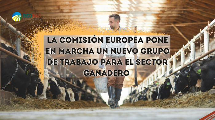 GRUPO GANADERÍA