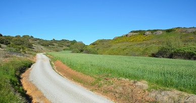 Camino rural