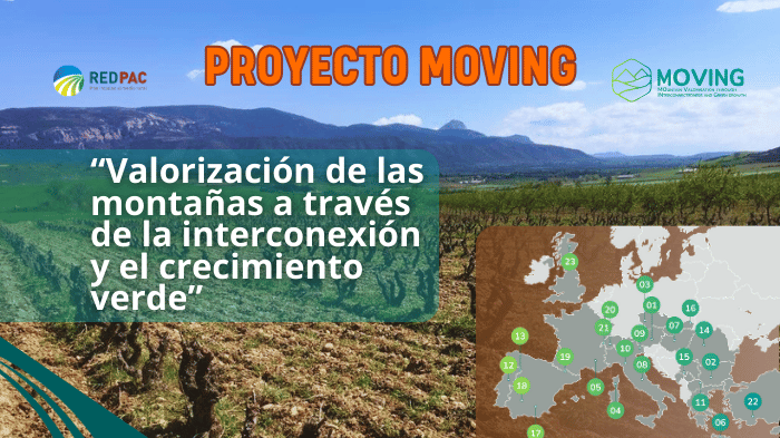 Proyecto MOVING