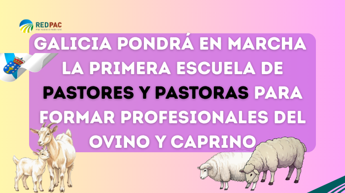 Galicia pondrá en marcha su primera escuela de pastores para formar a profesionales del ovino y caprino en extensivo