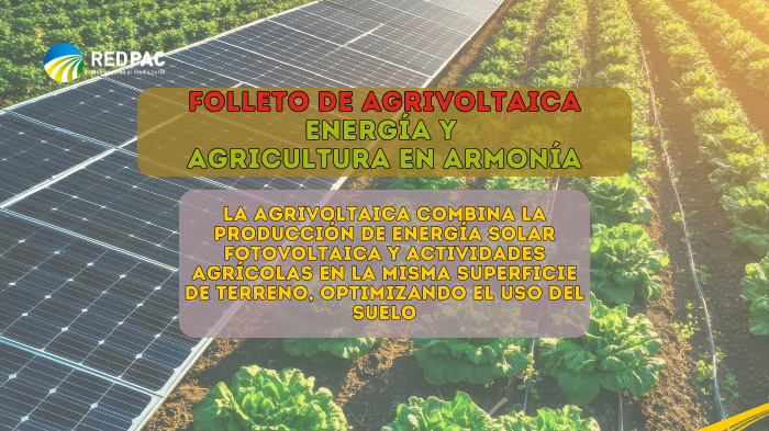 La Red PAC publica un folleto divulgativo sobre agrivoltaica para explicar su funcionamiento y sus beneficios