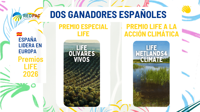 España logra un doble reconocimiento en los Premios LIFE 2026 con los proyectos “Olivares Vivos” y “WetLands4Climate”