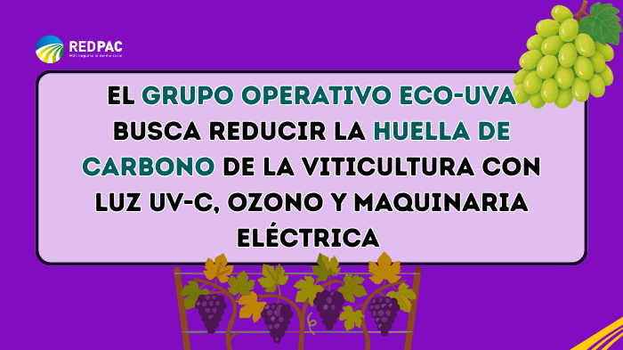 El Grupo Operativo ECO-UVA busca reducir la huella de carbono de la viticultura con luz UV-C, ozono y maquinaria eléctrica El Grupo Operativo ECO-UVA busca reducir la huella de carbono de la viticultura con luz UV-C, ozono y maquinaria eléctrica El Grupo Operativo ECO-UVA busca reducir la huella de carbono de la viticultura con luz UV-C, ozono y maquinaria eléctrica El Grupo Operativo ECO-UVA busca reducir la huella de carbono de la viticultura con luz UV-C, ozono y maquinaria eléctrica El Grupo Operativo E