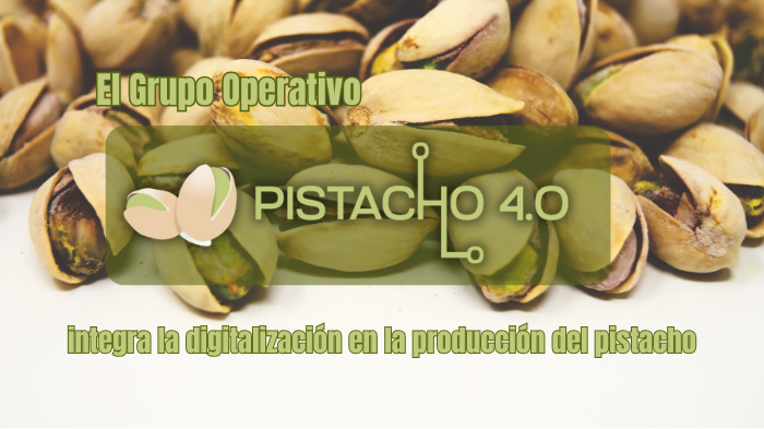 El Grupo Operativo PISTACHO 4.0 integra la digitalización en la producción del pistacho 