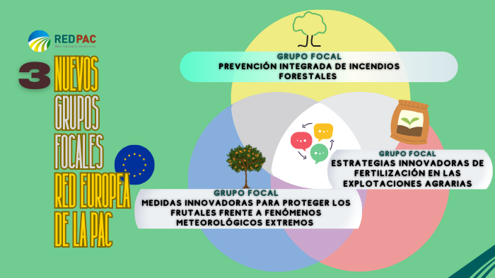 La Red Europea de la PAC abre la convocatoria para tres nuevos Grupos Focales sobre incendios forestales, fertilización y protección de frutales