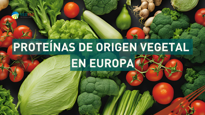 proteínas vegetales