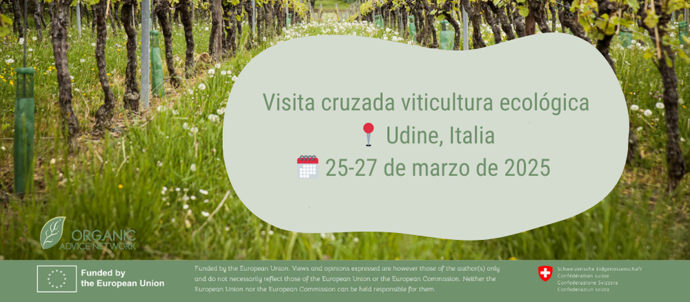 Viñedo ecológico Unide, Friuli, Italia