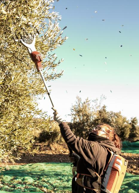 Mujer agricultura