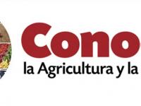 Conocer la agricultura y la ganadería