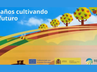 40 años de España en la PAC: cuatro décadas cultivando el futuro del campo español