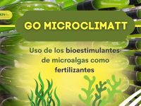 El Grupo Operativo Microclimatt estudia el uso de bioestimulantes de microalgas para mejorar la productividad de los cultivos 
