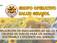 Grupo Operativo Salud Girasol