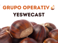 grupo operativo yeswecast