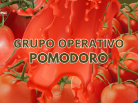 grupo operativo pomodoro