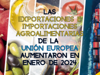 Las exportaciones e importaciones agroalimentarias de la Unión Europea aumentaron en enero de 2024 